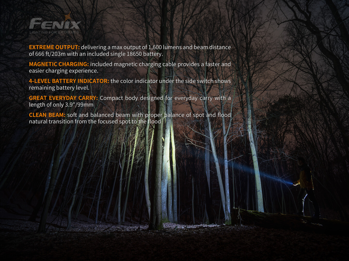 fenix-elemlampa-e30r-1-x-18650-luminus-sst40-1600-lumen.jpg